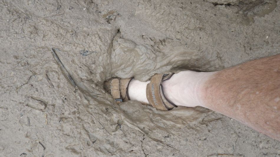 2019-01-26 04 Photos from 2019 E4 Mud Again.JPG