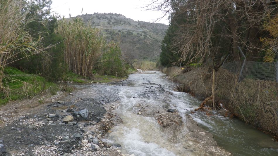 2019-01-26 06 Photos from 2019 This Is A Path.JPG