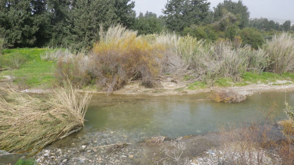 2019-01-27 07 Photos from 2019 Flowing River.JPG