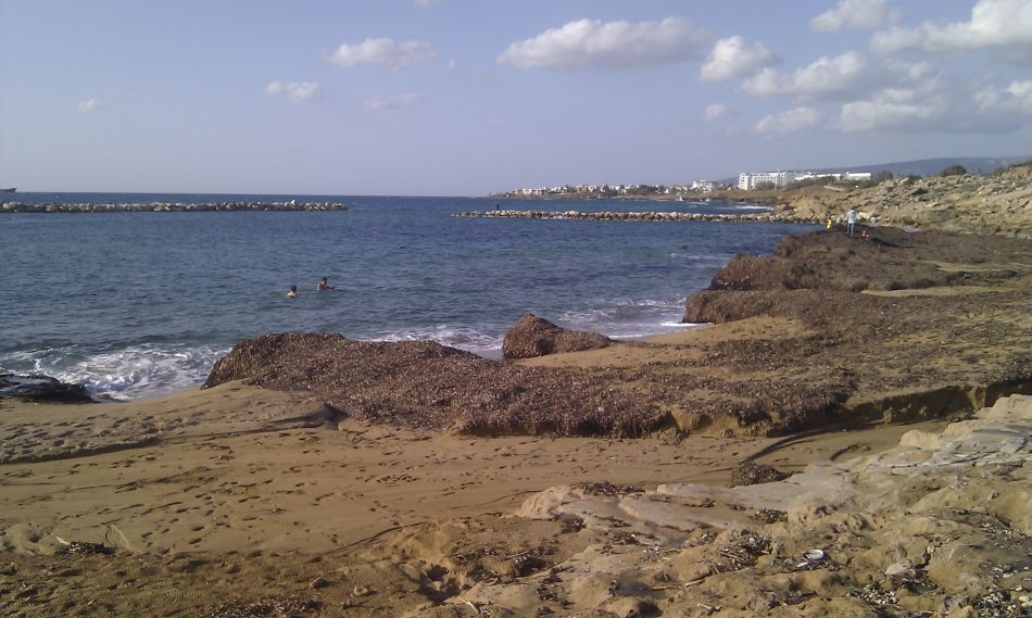 2019-01-30 01 Swimmers.jpg