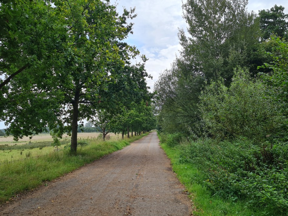 2023-09-20 09 Castle Rising .jpg