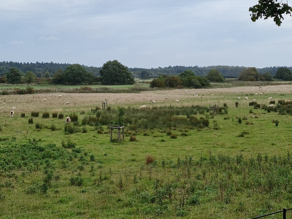 2023-09-20 10 Castle Rising .jpg