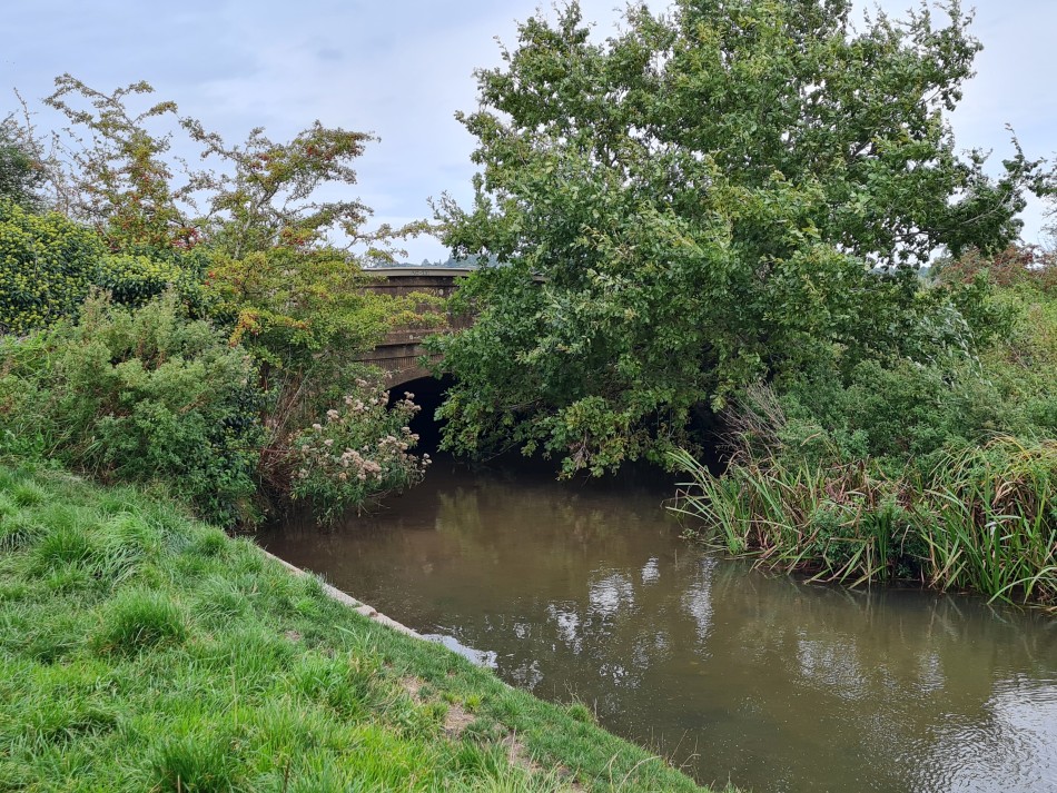 2023-09-20 11 Castle Rising .jpg