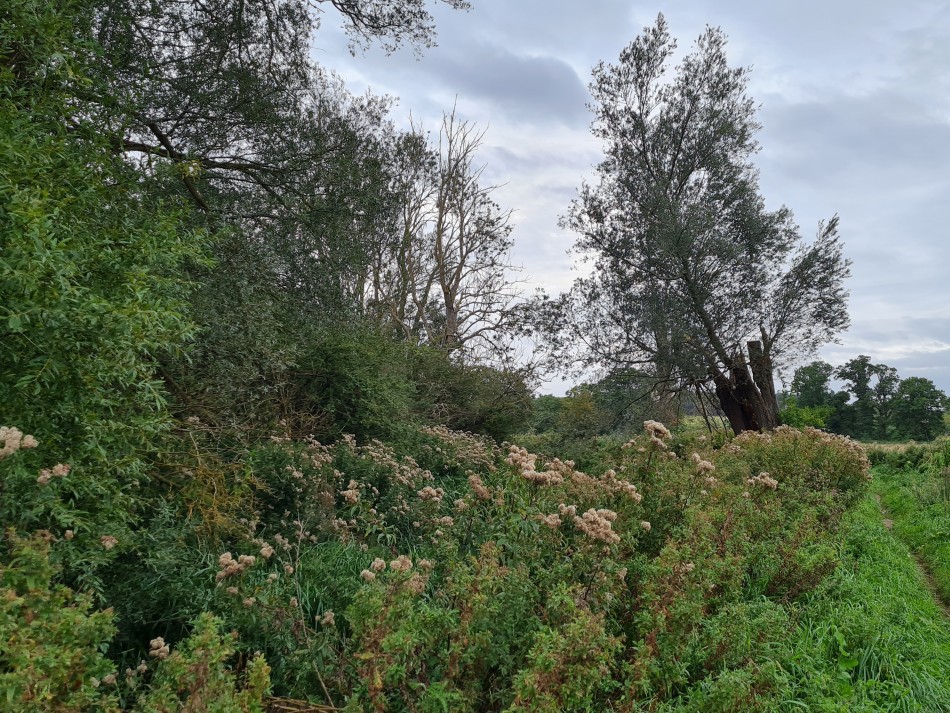 2023-09-20 13 Castle Rising .jpg