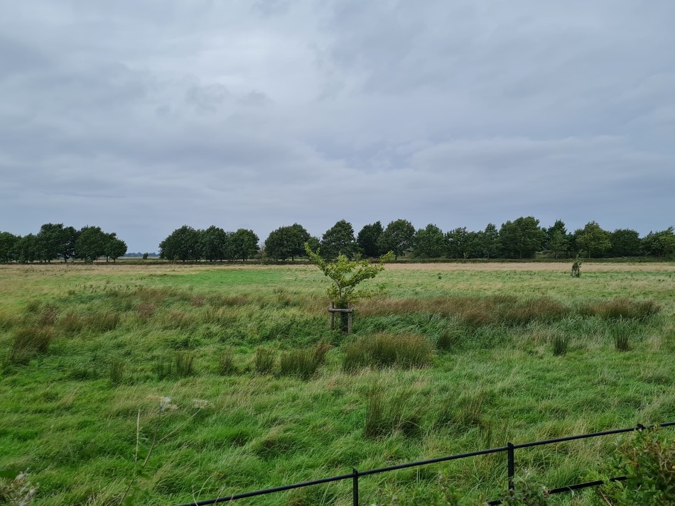 2023-09-20 14 Castle Rising .jpg