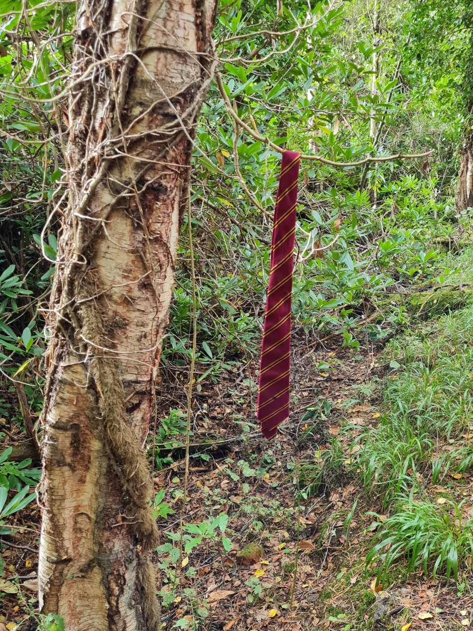 2023-09-20 21 Castle Rising .jpg