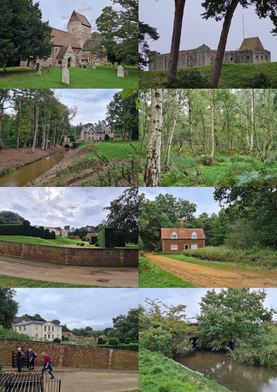 2023-09-20 98 Image.jpg