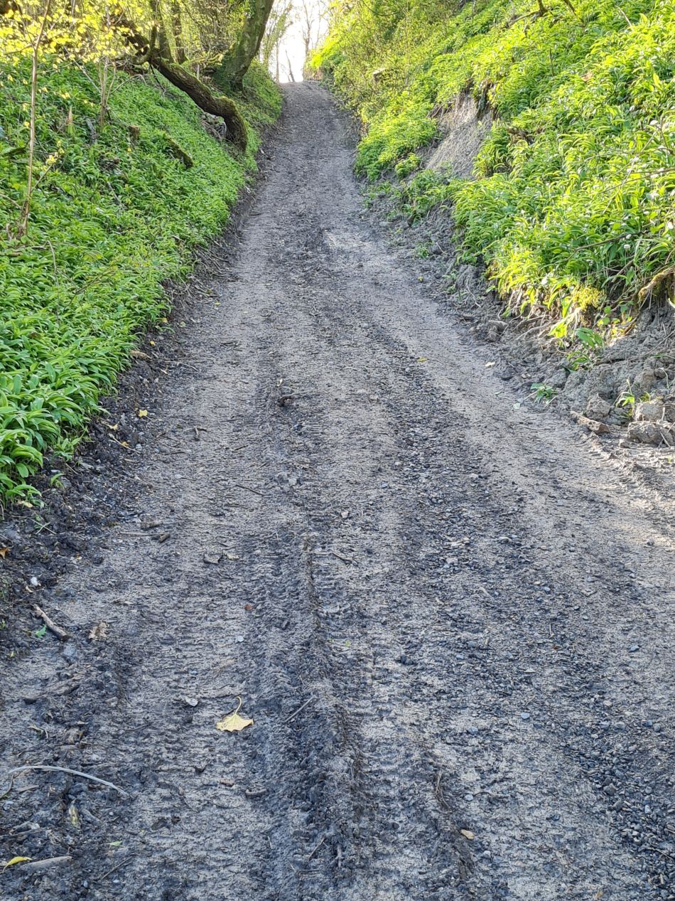 2024-04-16 10 Buriton and Chalton.jpg