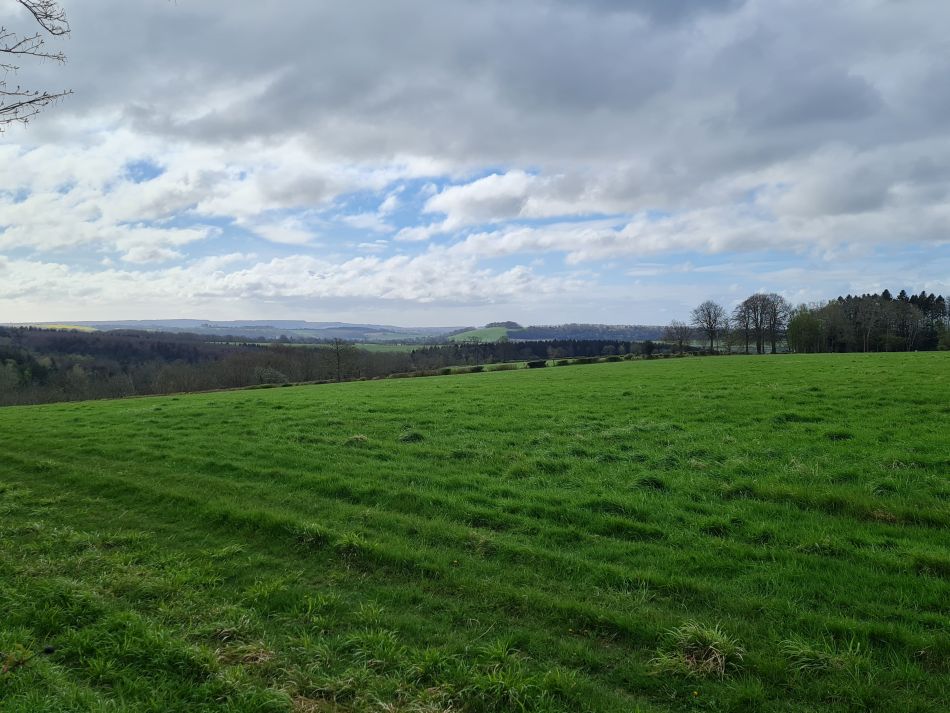 2024-04-16 13 Buriton and Chalton.jpg