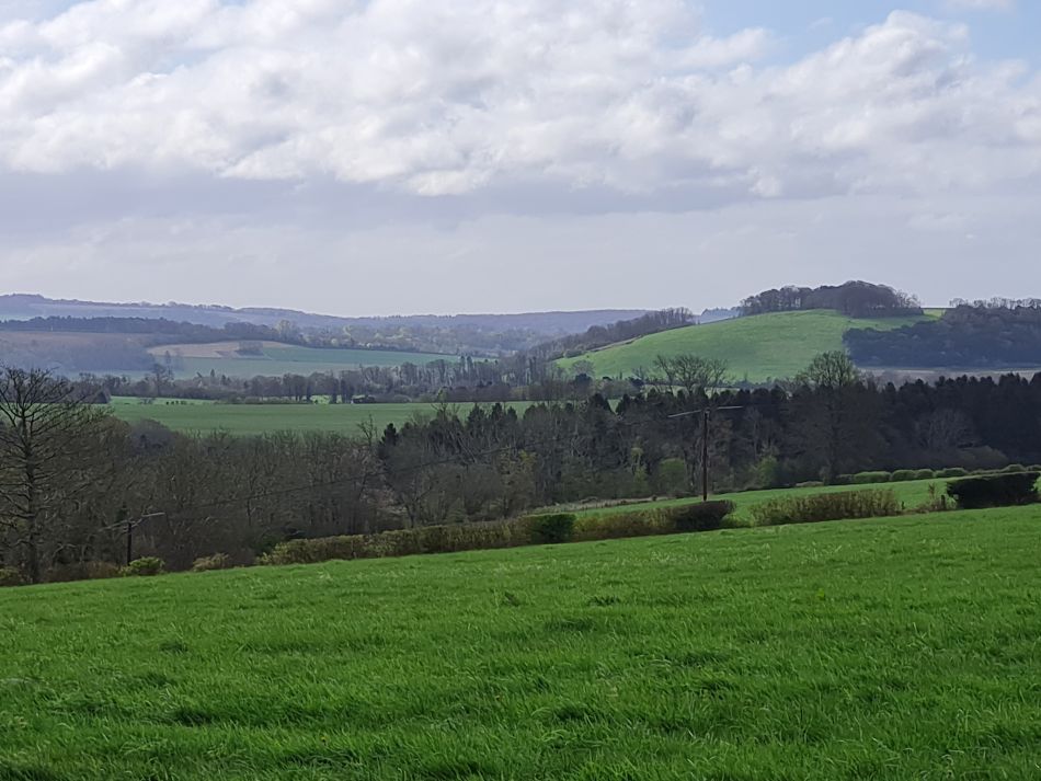 2024-04-16 14 Buriton and Chalton.jpg