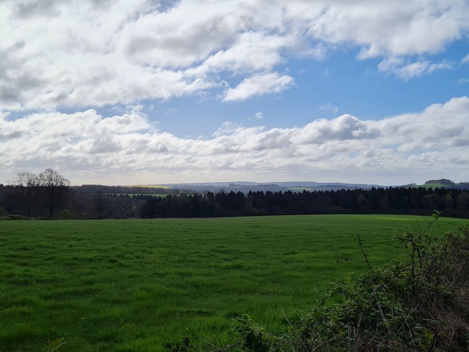 2024-04-16 19 Buriton and Chalton.jpg