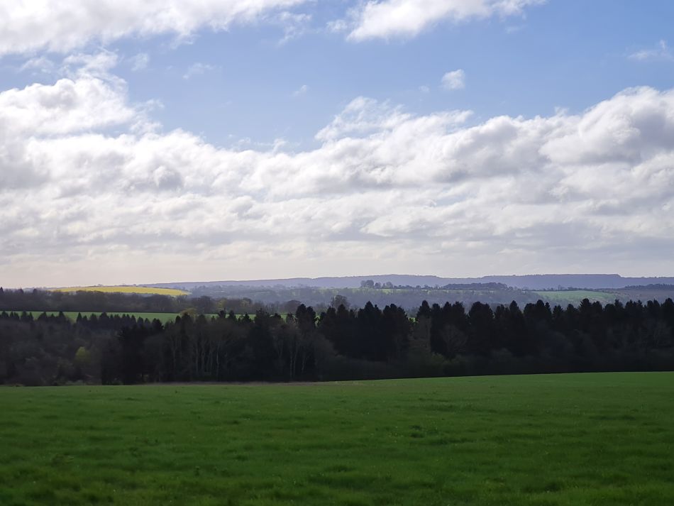 2024-04-16 20 Buriton and Chalton.jpg