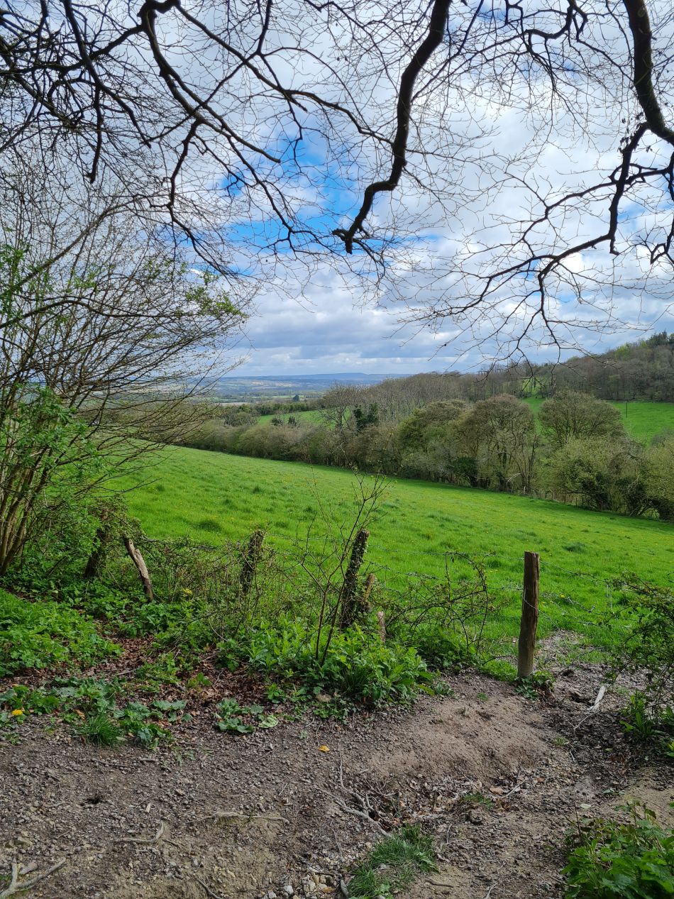 2024-04-16 38 Buriton and Chalton.jpg