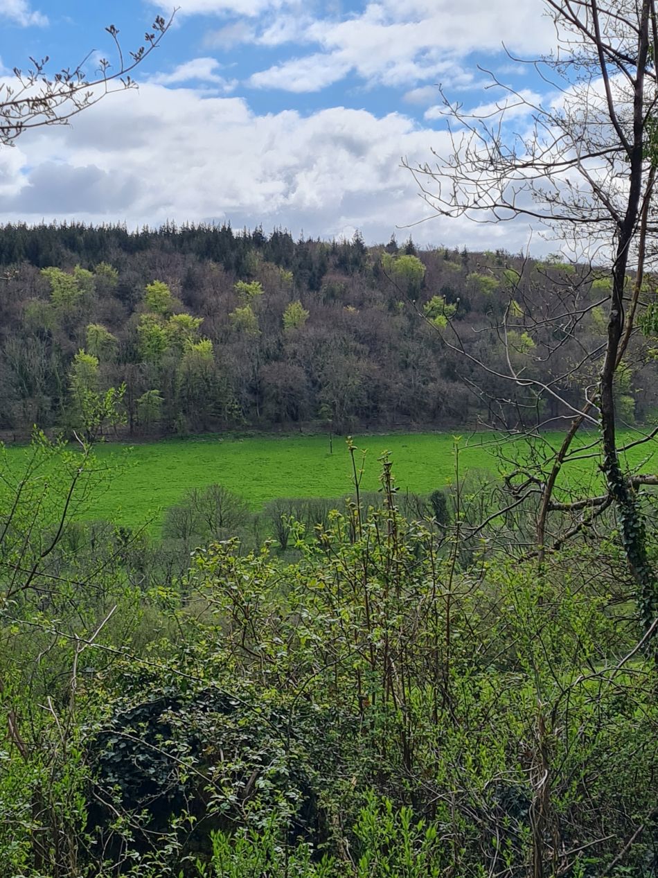 2024-04-16 40 Buriton and Chalton.jpg