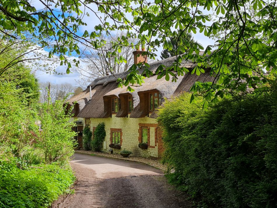 2024-04-16 44 Buriton and Chalton.jpg