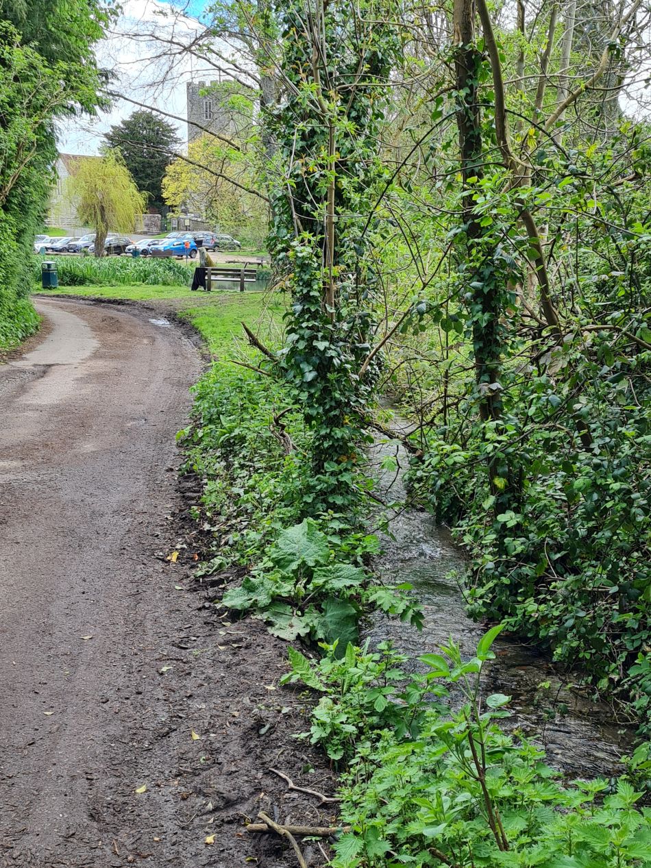 2024-04-16 46 Buriton and Chalton.jpg