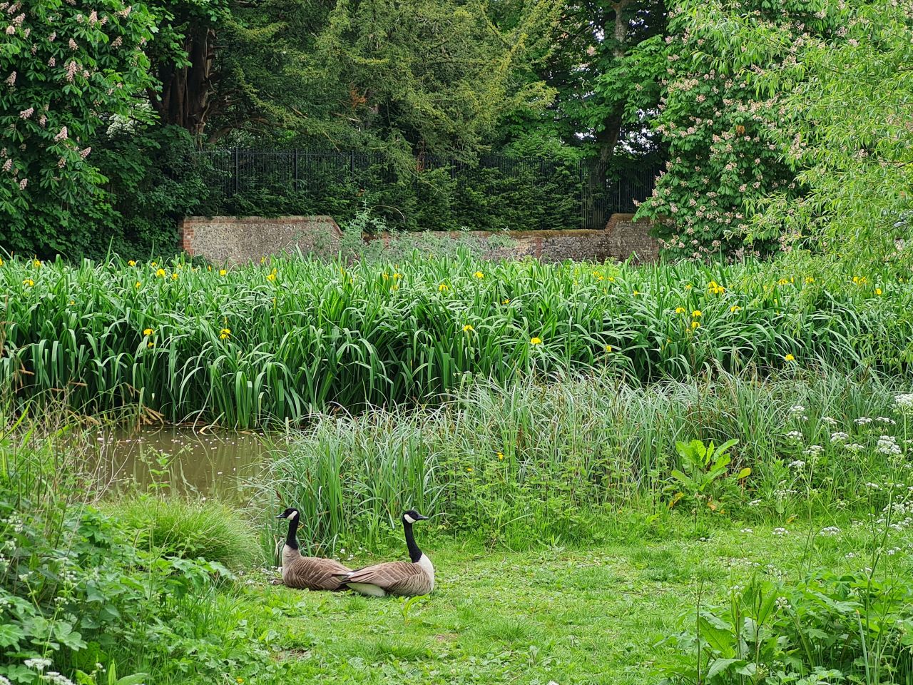 2025-05-12 19 Buriton and Chalton.jpg