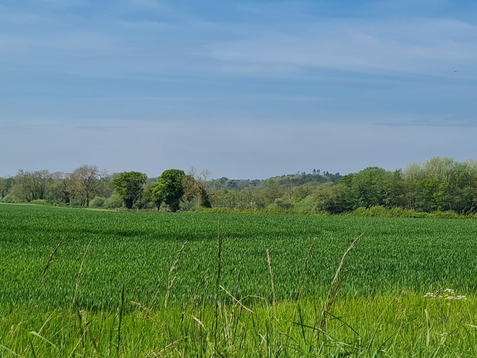 2024-05-09 04 Banham.jpg