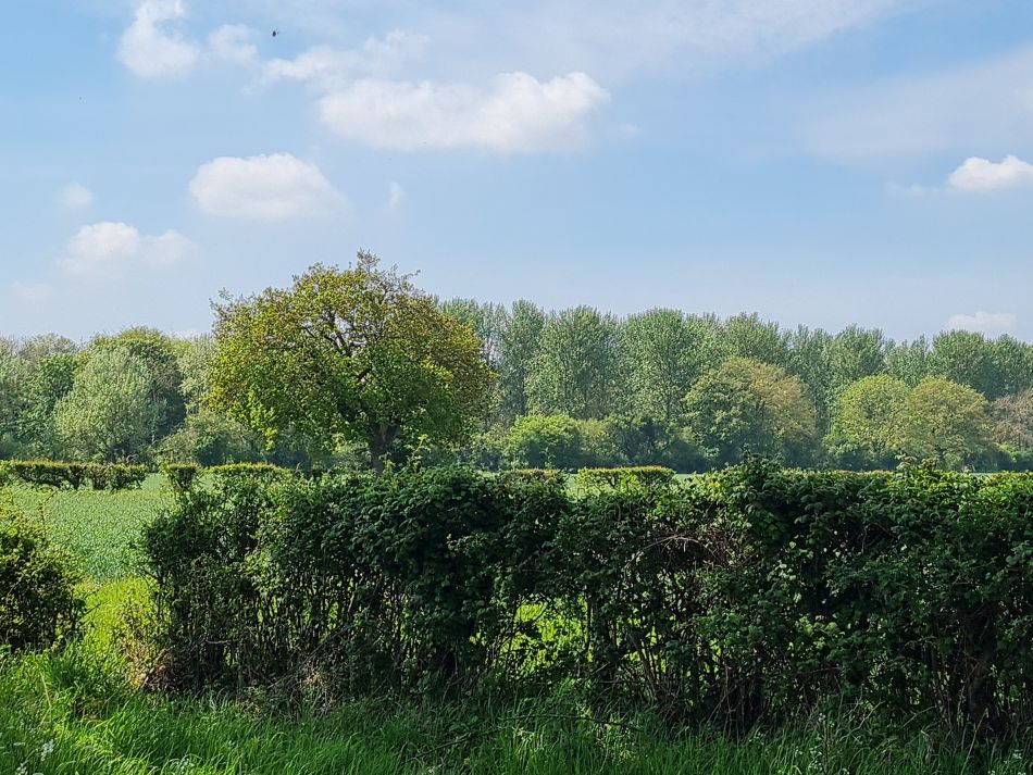 2024-05-09 07 Banham.jpg