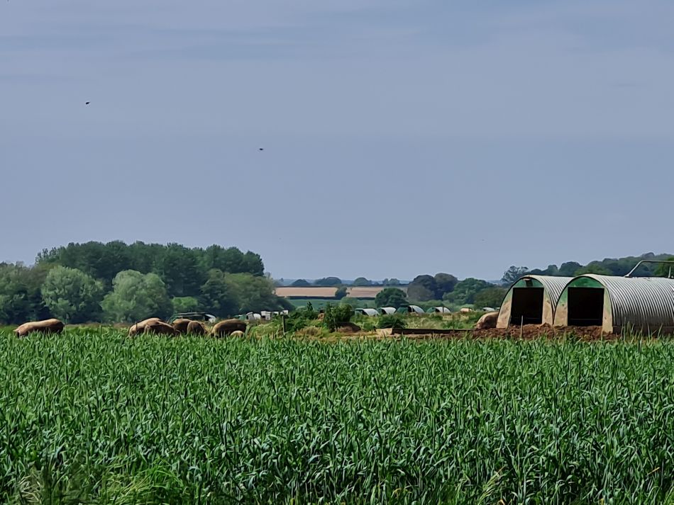 2024-05-09 08 Banham.jpg