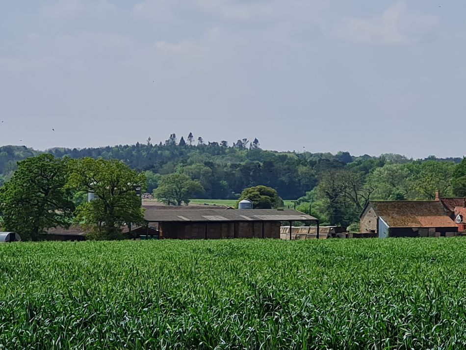 2024-05-09 09 Banham.jpg