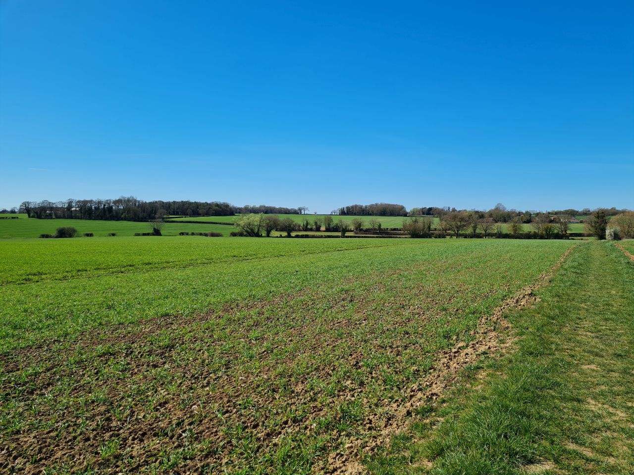 2025-04-01 03 Forncett End and Bunwell.jpg