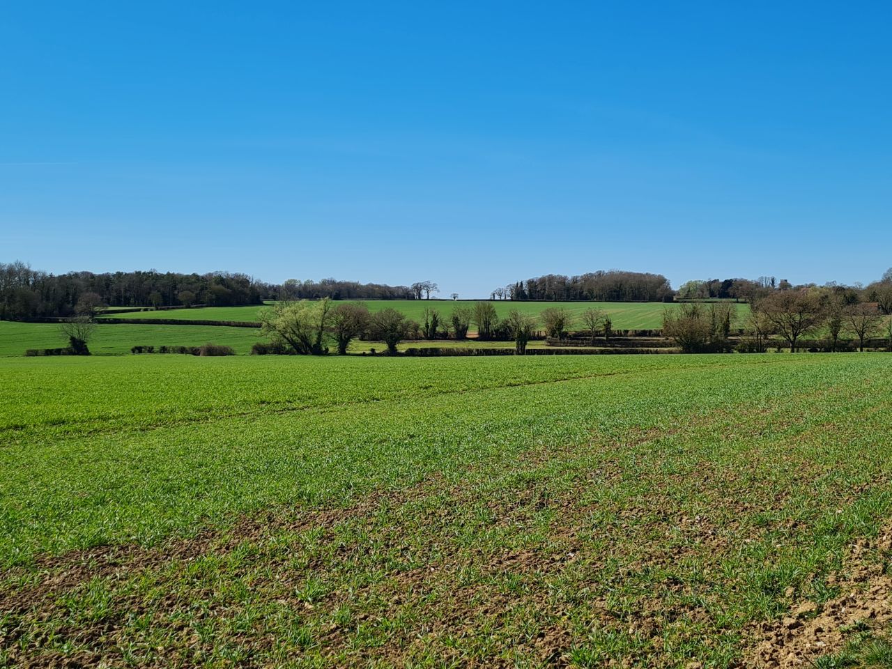 2025-04-01 04 Forncett End and Bunwell.jpg