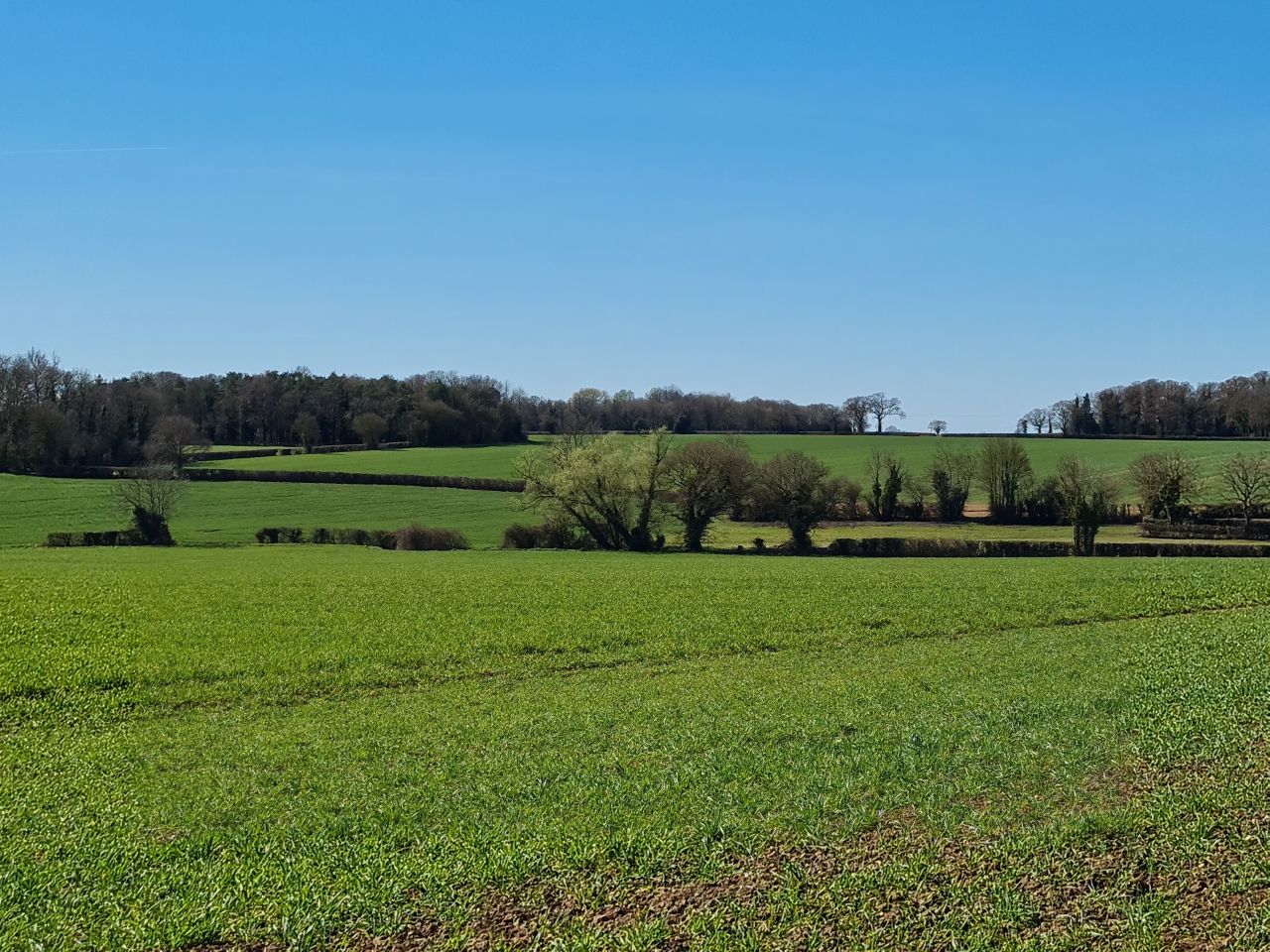 2025-04-01 05 Forncett End and Bunwell.jpg
