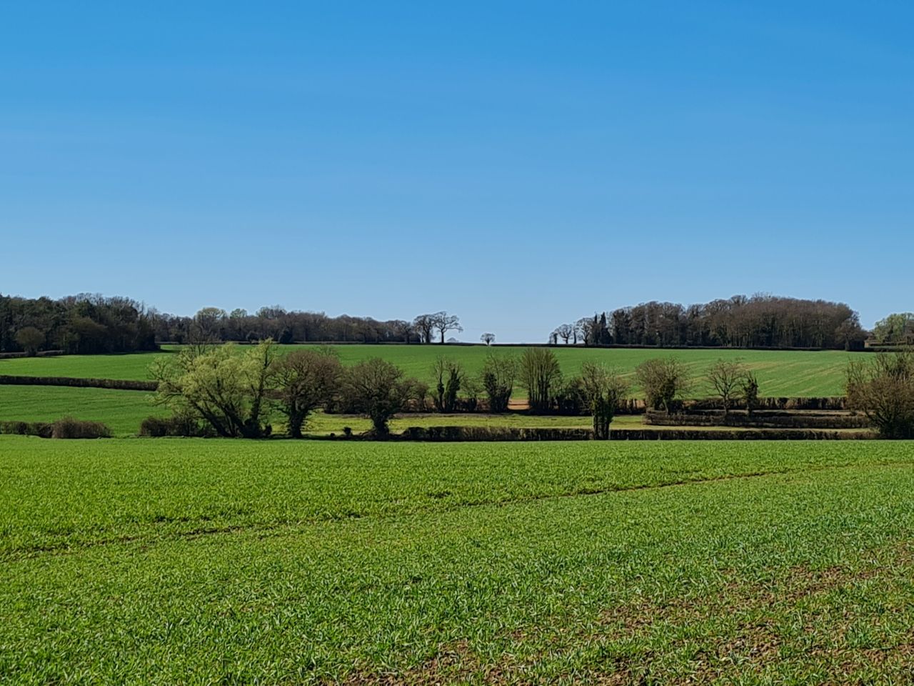 2025-04-01 06 Forncett End and Bunwell.jpg