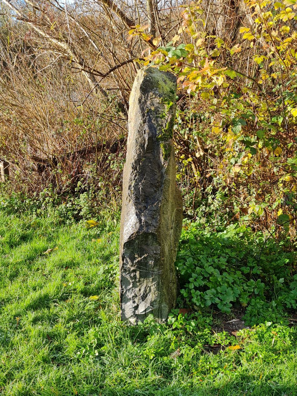 2021-12-03 02 Aldby.jpg