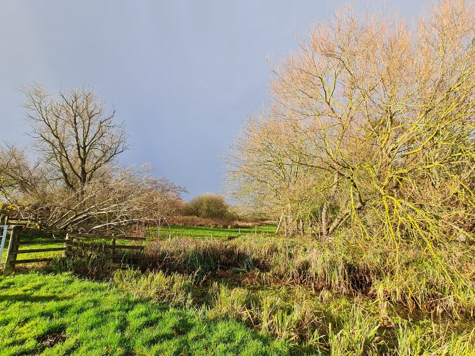 2021-12-03 07 Aldby.jpg