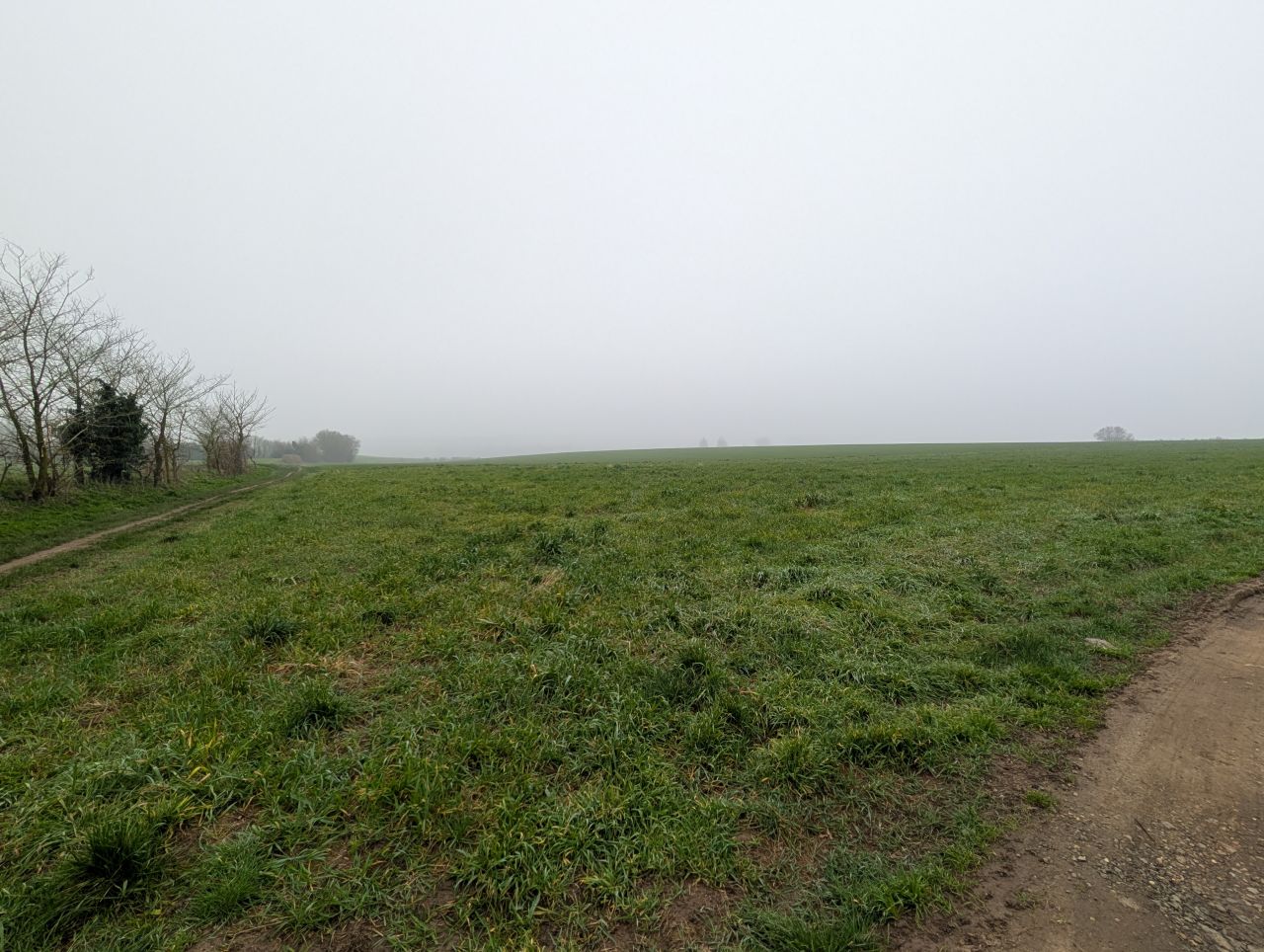 2026-03-06 01 Cavendish.jpg