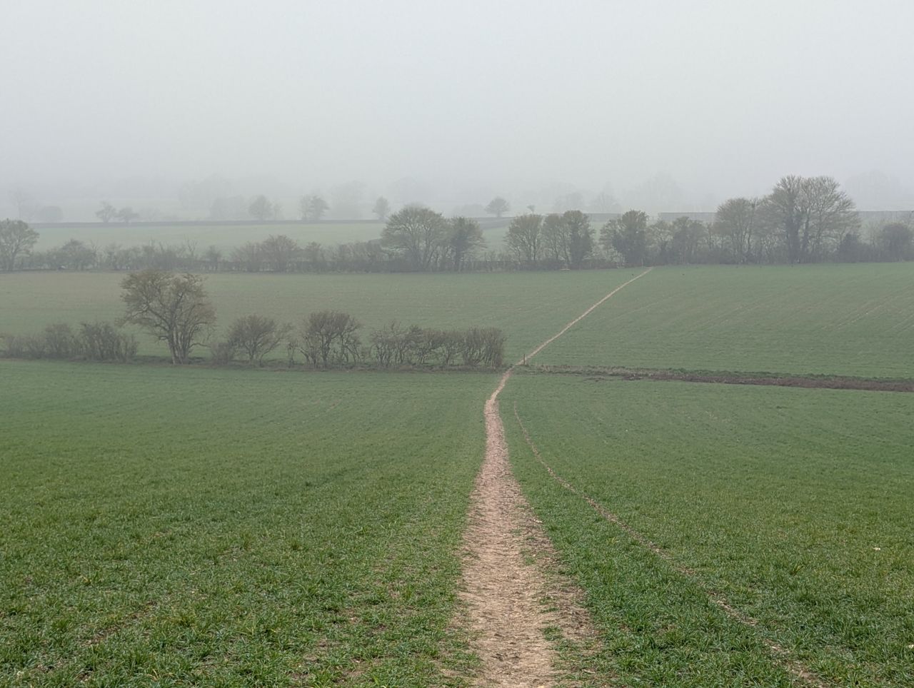 2026-03-06 03 Cavendish.jpg