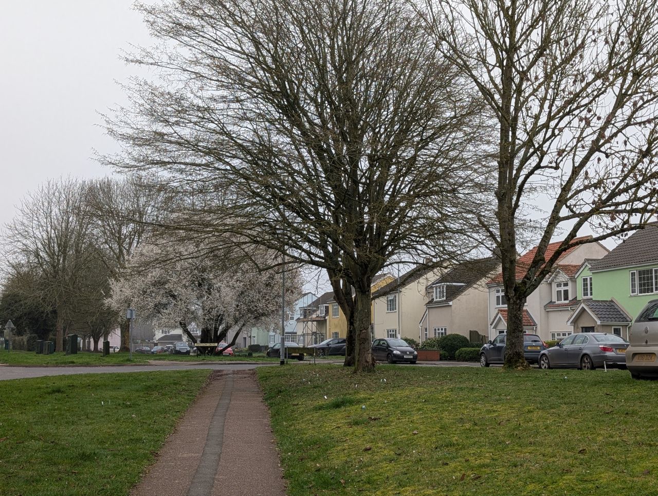 2026-03-06 06 Cavendish.jpg