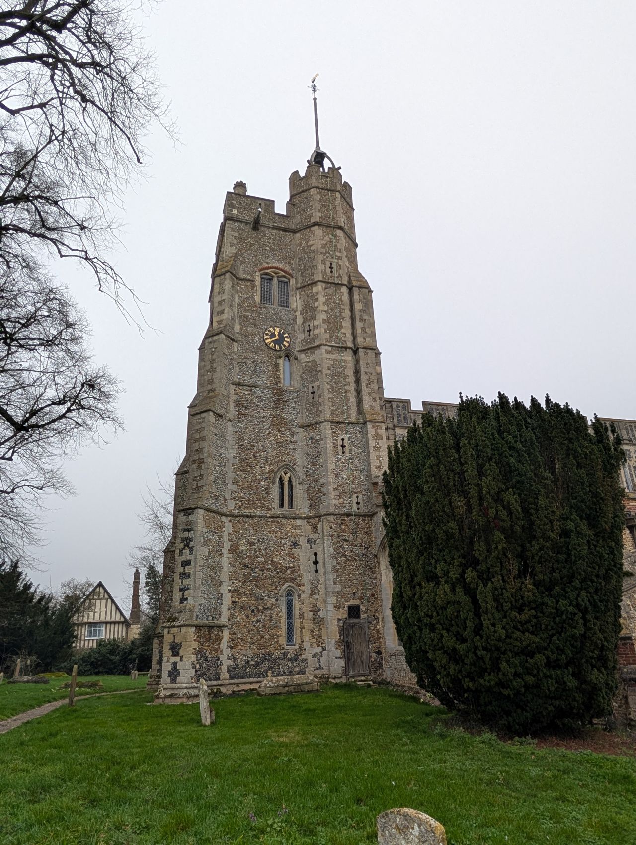 2026-03-06 21 Cavendish.jpg