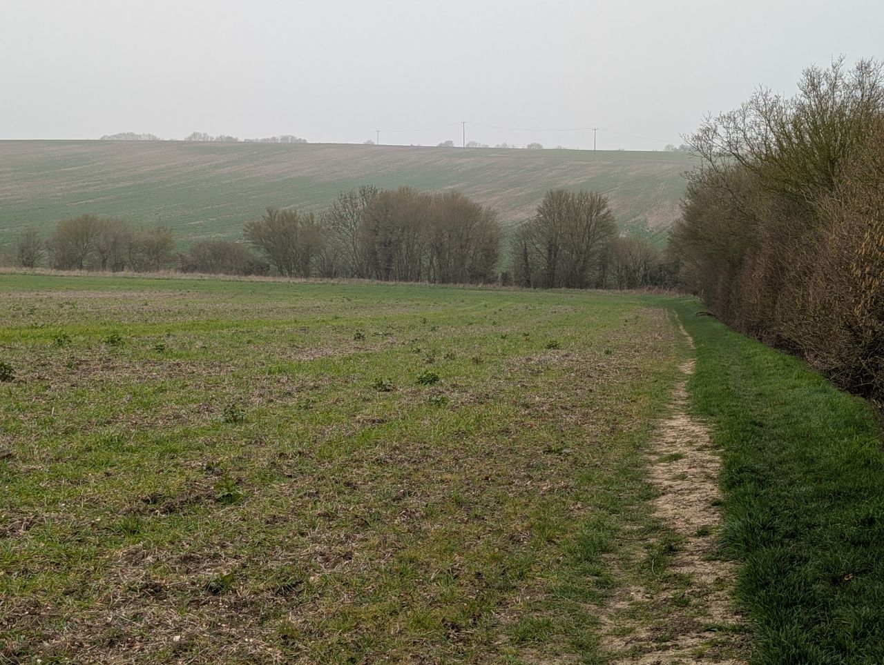 2026-03-06 43 Cavendish.jpg