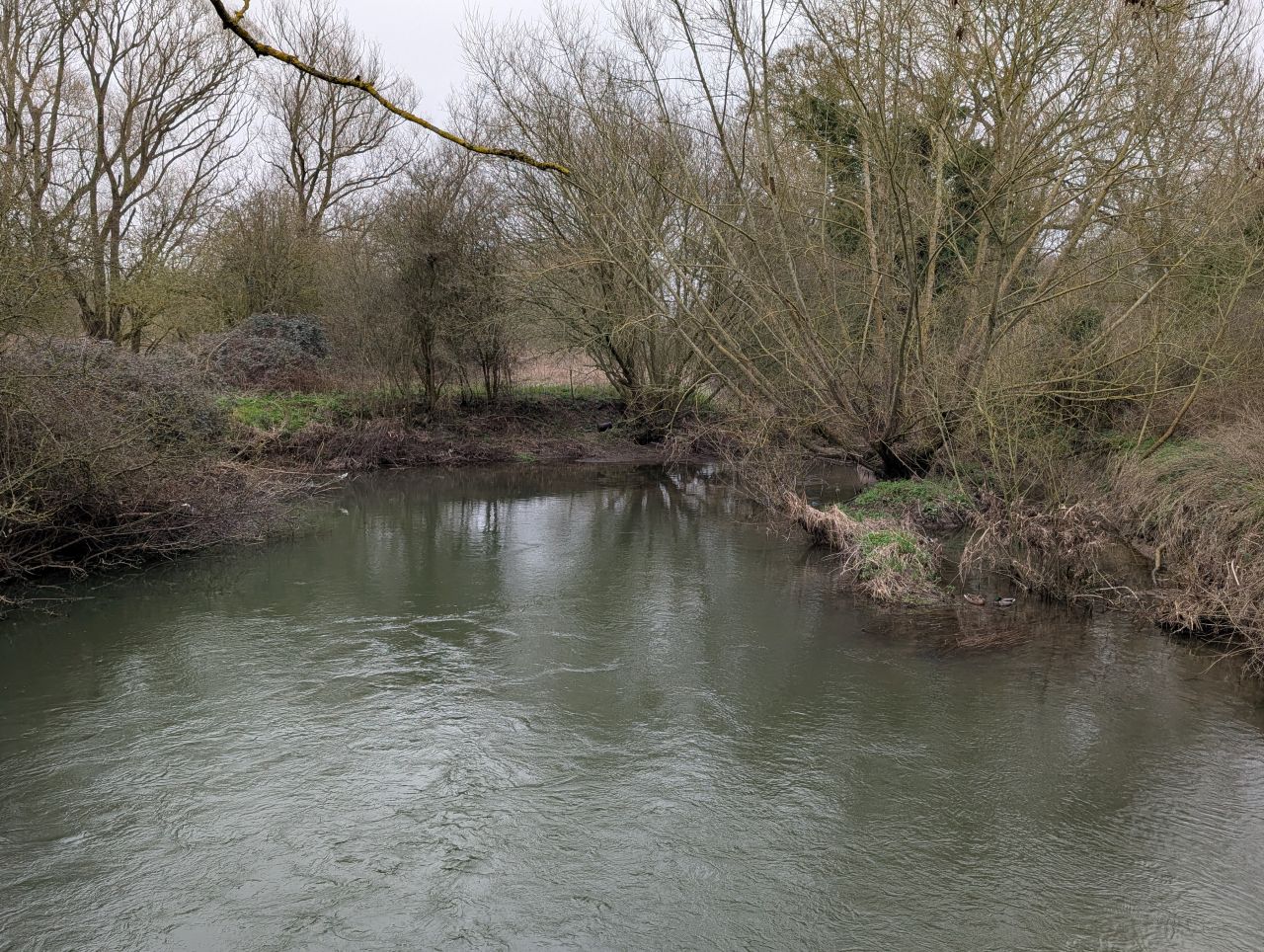 2026-03-06 50 Cavendish.jpg