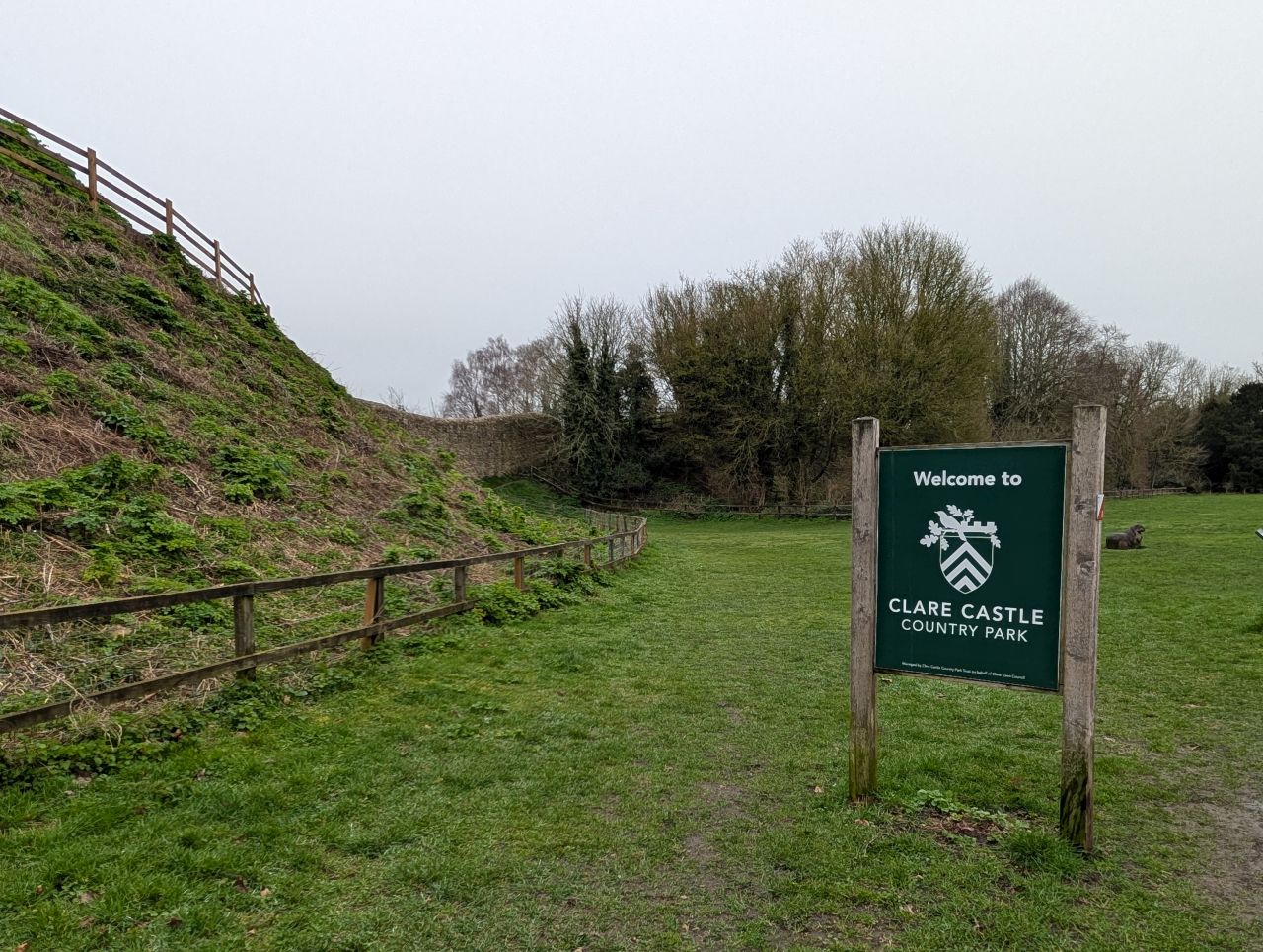 2026-03-07 06 Clare.jpg