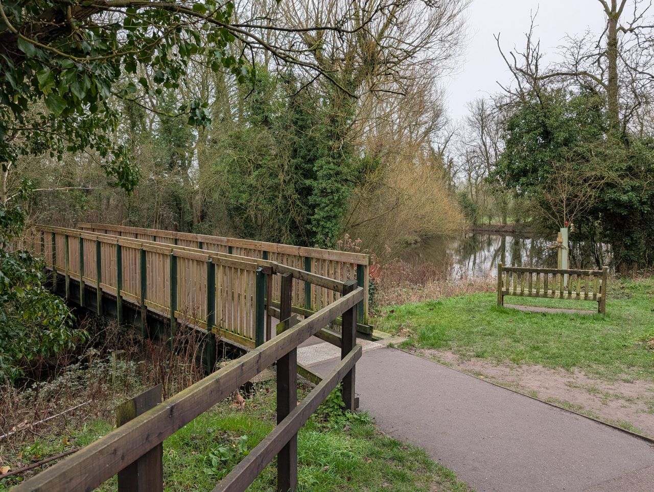 2026-03-07 16 Clare.jpg