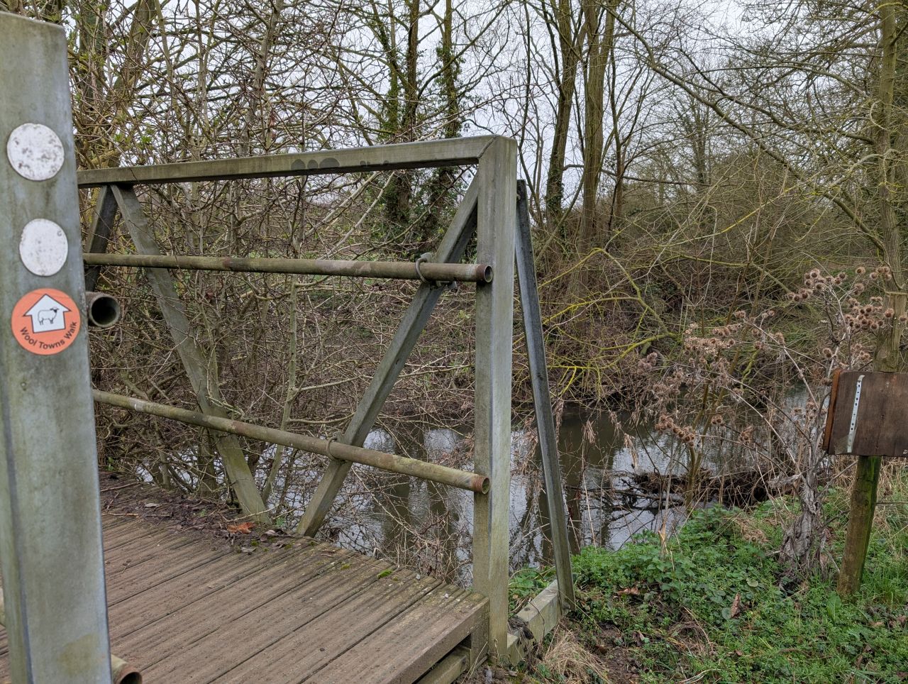 2026-03-07 19 Clare.jpg