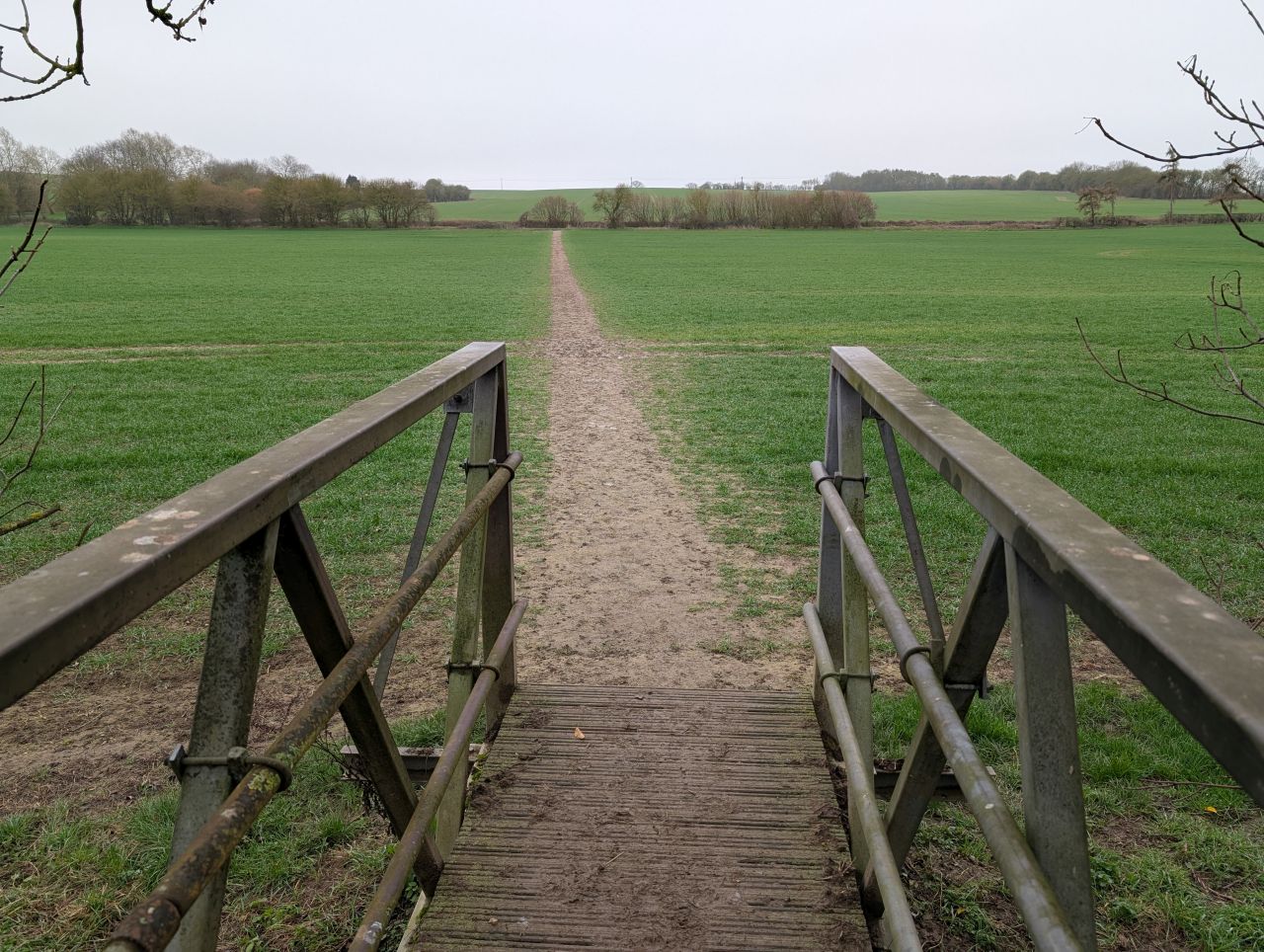 2026-03-07 21 Clare.jpg