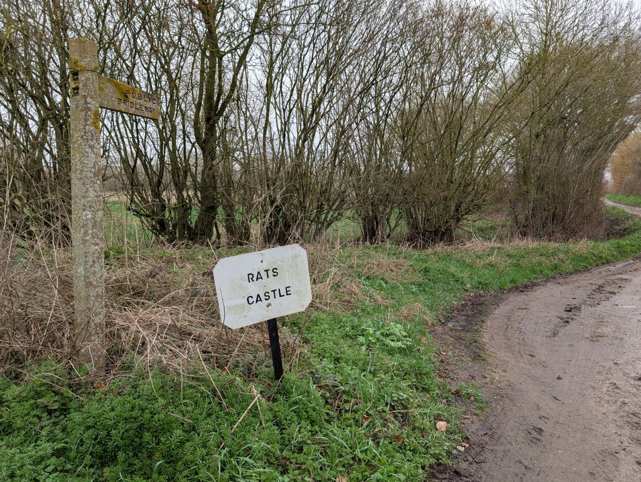 2026-03-07 22 Clare.jpg