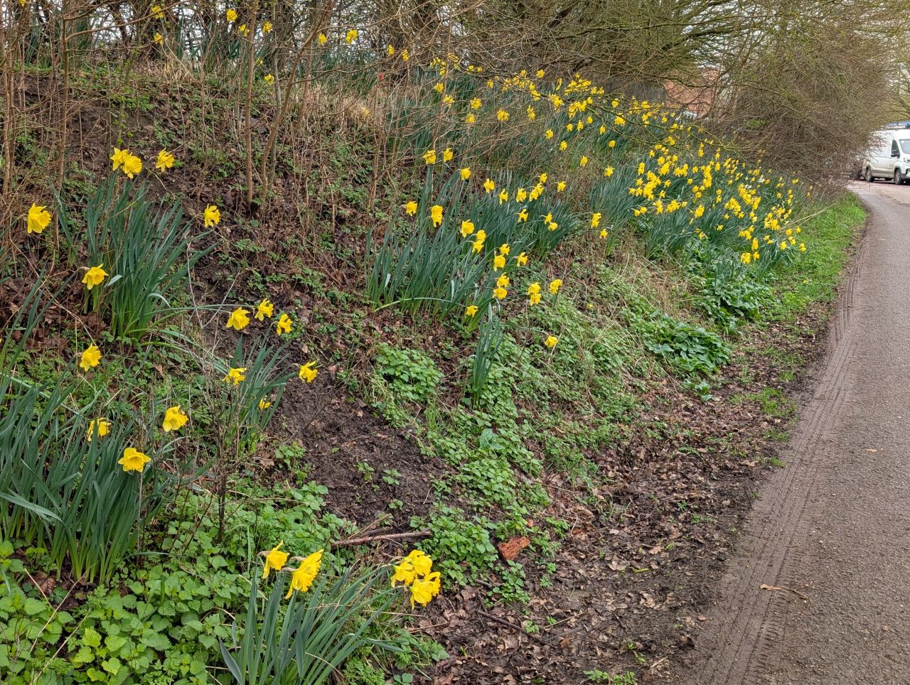 2026-03-07 31 Clare.jpg