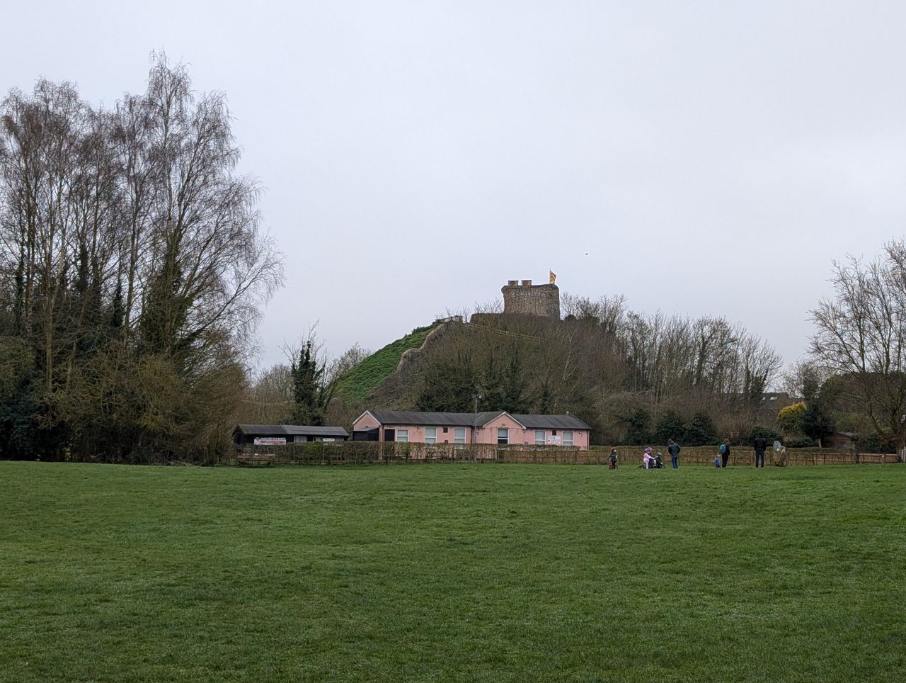 2026-03-07 32 Clare.jpg