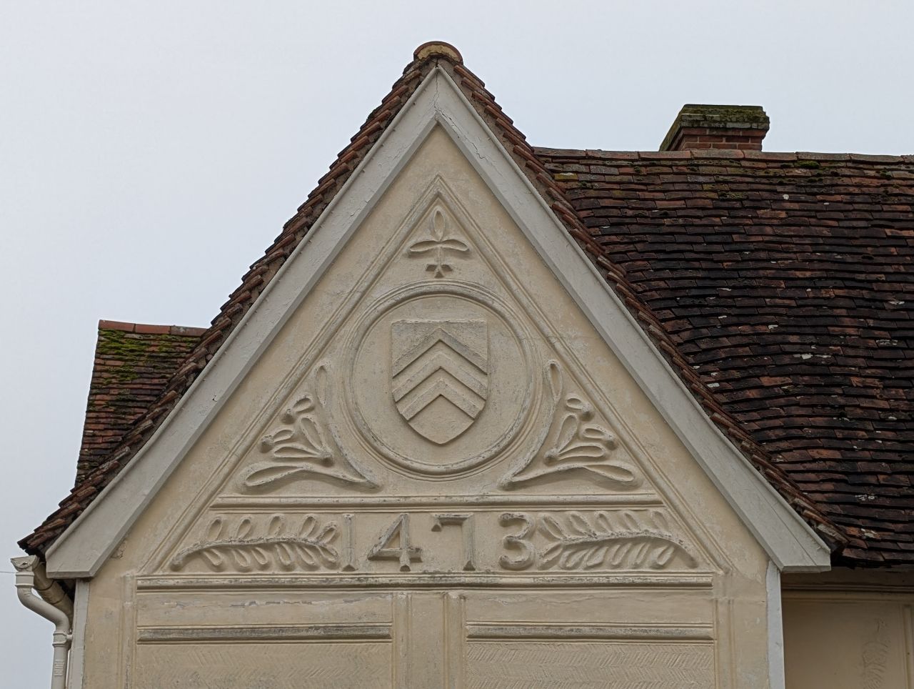 2026-03-07 50 Clare.jpg