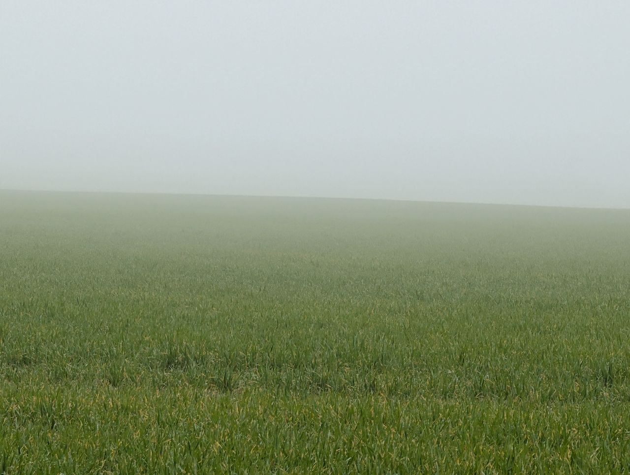 2026-03-08 08 Clare to Sudbury.jpg