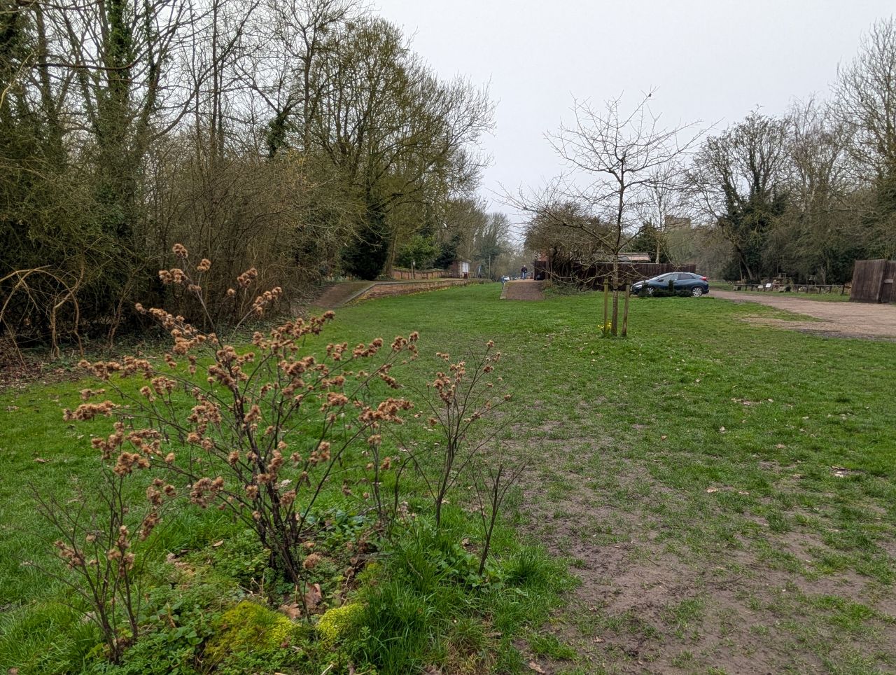 2026-03-08 13 Clare to Sudbury.jpg