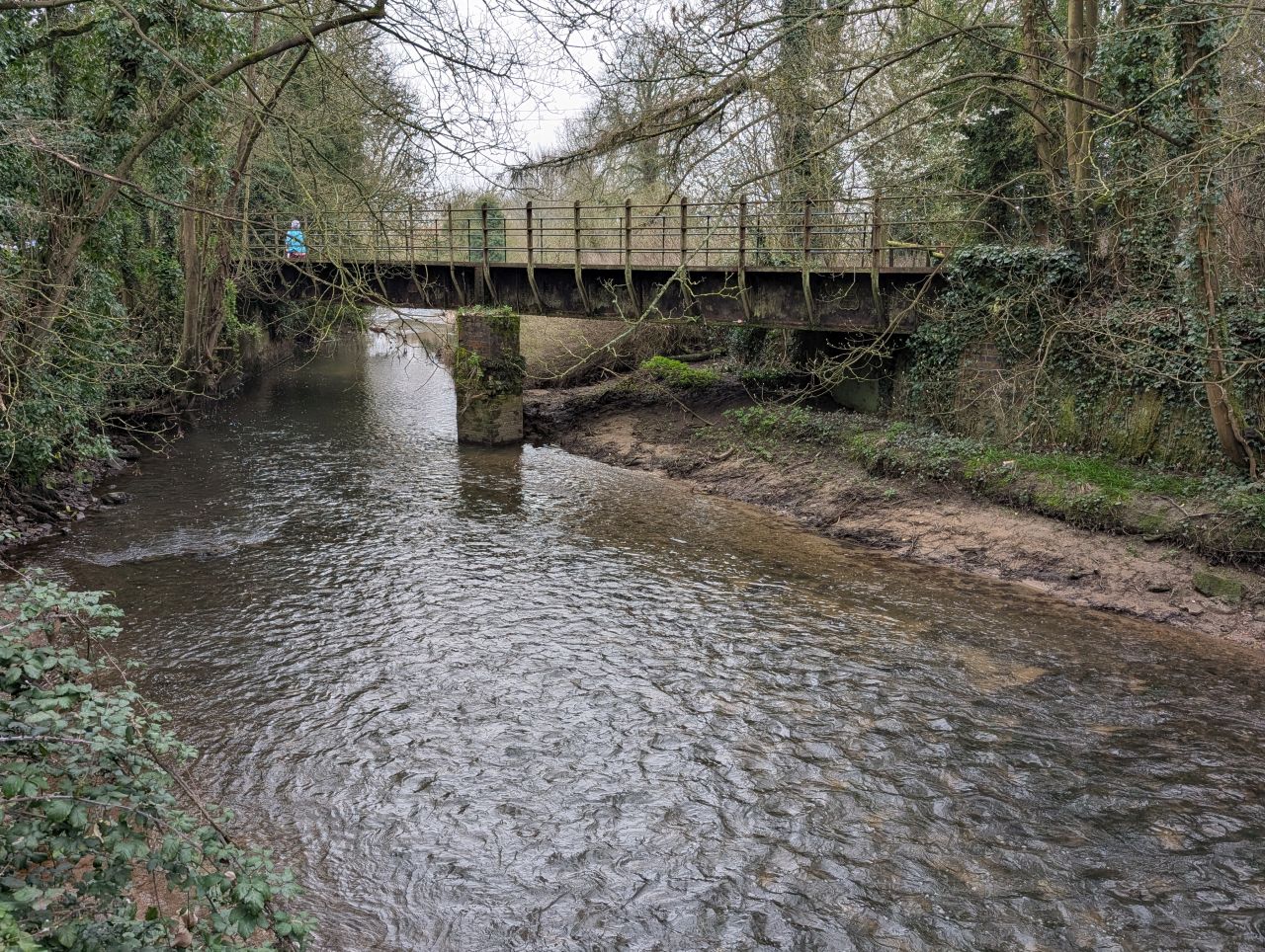 2026-03-08 18 Clare to Sudbury.jpg