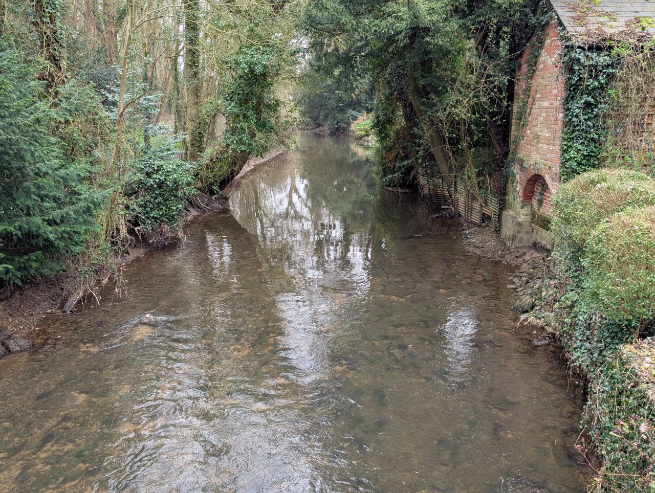 2026-03-08 19 Clare to Sudbury.jpg