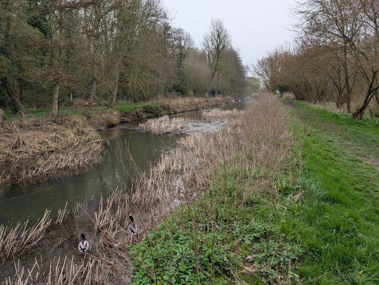 2026-03-08 20 Clare to Sudbury.jpg